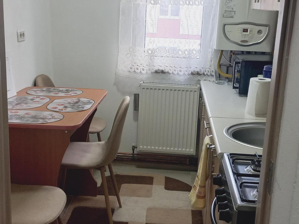 Apartament Bianca Câmpulung Moldovenesc Dış mekan fotoğraf