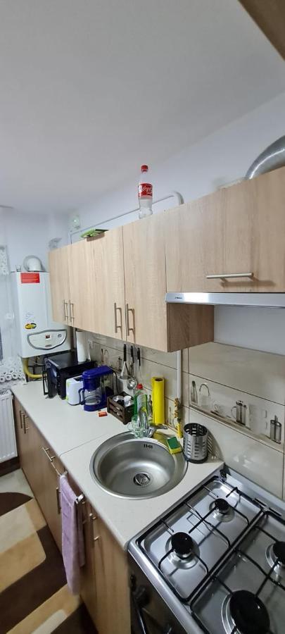 Apartament Bianca Câmpulung Moldovenesc Dış mekan fotoğraf