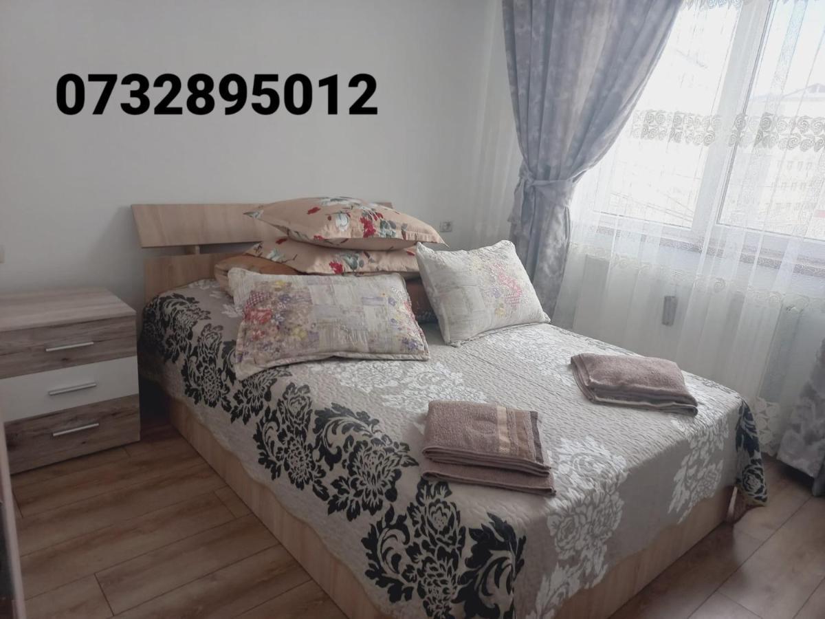 Apartament Bianca Câmpulung Moldovenesc Dış mekan fotoğraf
