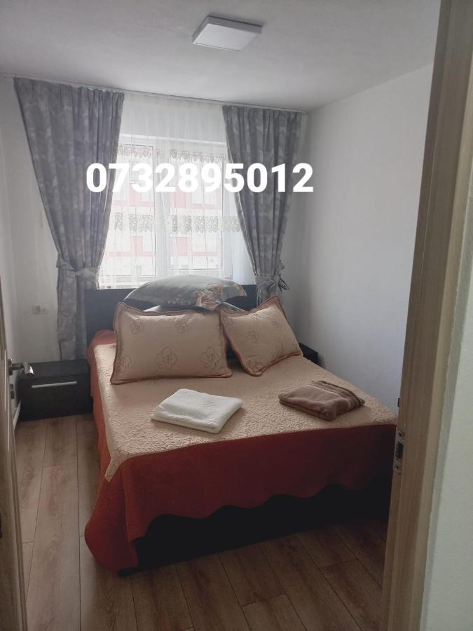 Apartament Bianca Câmpulung Moldovenesc Dış mekan fotoğraf