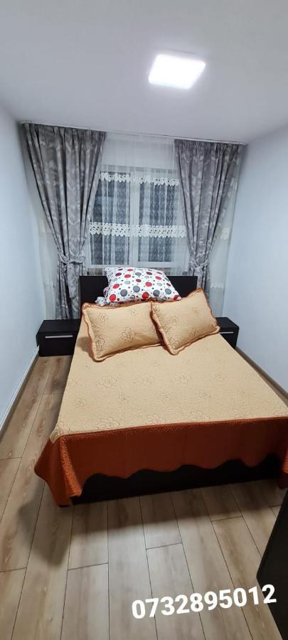 Apartament Bianca Câmpulung Moldovenesc Dış mekan fotoğraf